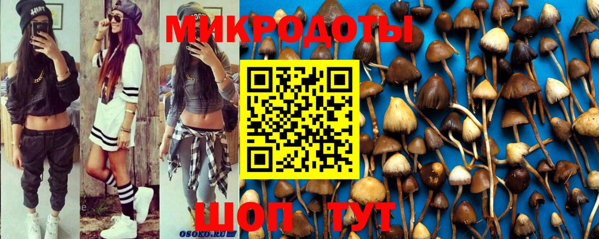 Псилоцибиновые грибы Cubensis Реутов