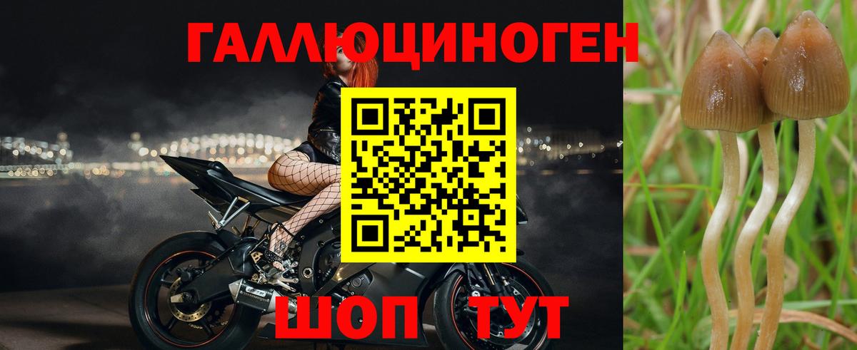 Реутов  цены   Вход с VPN  Псилоцибиновые грибы мицелий 